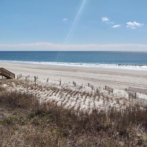 Meet your Posher, Judy